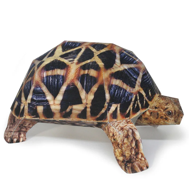 インドのスターカメ紙モデル、リアルな動物、ミニ折り紙アート、 - Art Craft Cardboard のレビューと価格