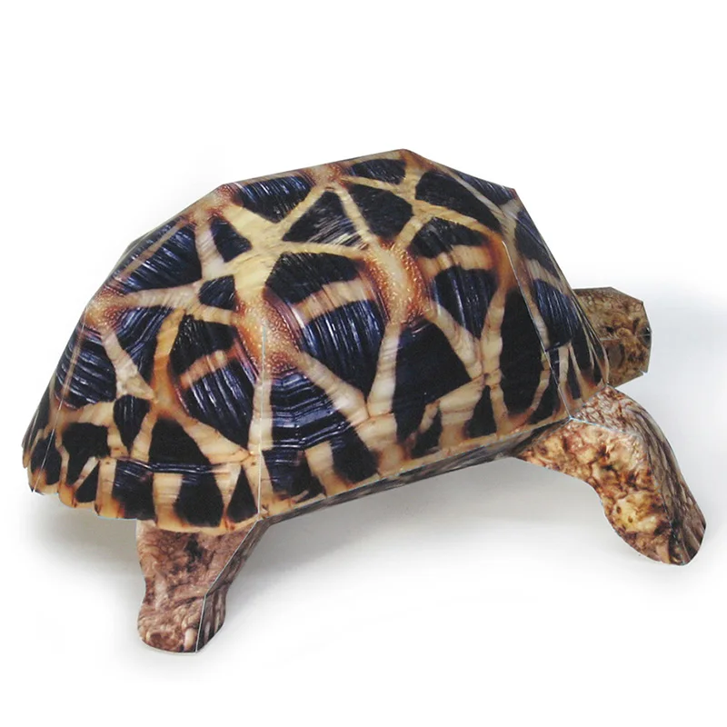 インドのスターカメ紙モデル、リアルな動物、ミニ折り紙アート、 - Art Craft Cardboard のレビューと価格